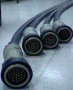 Imagen 37 y 61 Polos Mando y Control