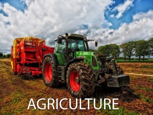 agriculture